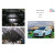 Защита Citroen DS3 2010- V-1,6 двигатель, КПП, радиатор - Kolchuga - фото 4