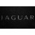 Двухслойные коврики Black для Jaguar I-Pace (mkI) 2018> Sotra Premium 10mm - фото 2