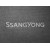 Двухслойные коврики Grey для SsangYong Rodius (mkI) (1 ряд) 2004-2013 Sotra Premium 10mm - фото 2