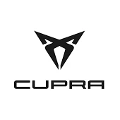 Килимки в автомобіль Cupra