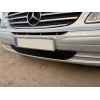 Зимова накладка Mercedes Vito 2003-2010 (низ) - AVTM