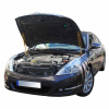 Газовий упор капота для Nissan Teana J32 2008-2013 2 шт.