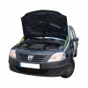Газовий упор капота для Renault Logan 2004-2013 2 шт.