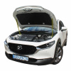 Газовый упор капота для Mazda CX-30 2019+ 2шт.