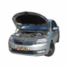Газовый упор капота для Skoda Rapid (2у) 2012+ 2 шт.