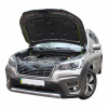 Газовый упор капота для Subaru Forester 5 2018+ 2шт. - UporKapota