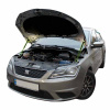 Газовый упор капота для SEAT Toledo 4 2012-2019 2шт.  - UporKapota