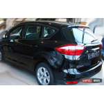 Молдинги на двери Automotiva F-16/20 / side door moldings