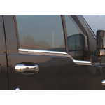 Наружняя окантовка стекол Ford Connect 2002-2006 гг. (2 шт, нерж.) Carmos - Турецкая сталь