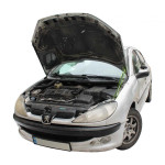 Газовий упор капота для Peugeot 206 1998-2008 1шт. - UporKapota