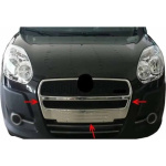 Накладка на переднюю решетку для Fiat Doblo 10-14 1шт (TAN24) 