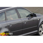 Audi A3 хетчбек 5D (2004-2012) Нижние молдинги стекол (нерж.) 6 шт. - Omsa Line