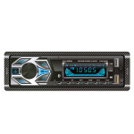 Бездисковий MP3/SD/USB/FM програвач Celsior CSW-246M (Celsior CSW-246M)