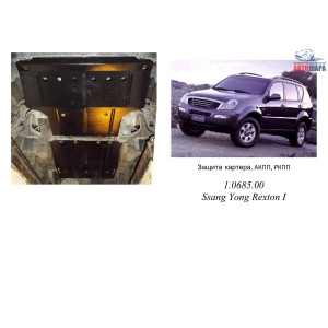 Захист Ssаng Yong Rexton 2001-2006 V-2,7XDI радіатор, двигун, КПП, раздатка - Kolchuga